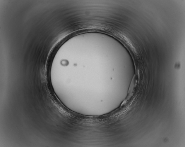 X0000098080780200804251512