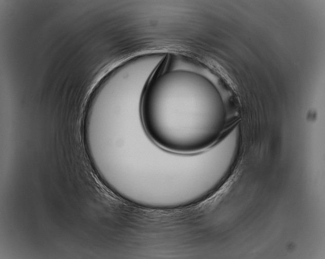 X0000098080781200804251512