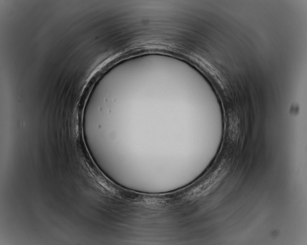 X0000098080782200804251512