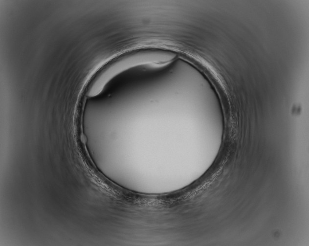 X0000098080783200804251512