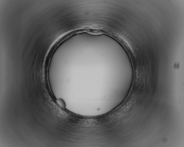 X0000098080784200804251512