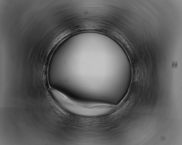 X0000098080786200804251512