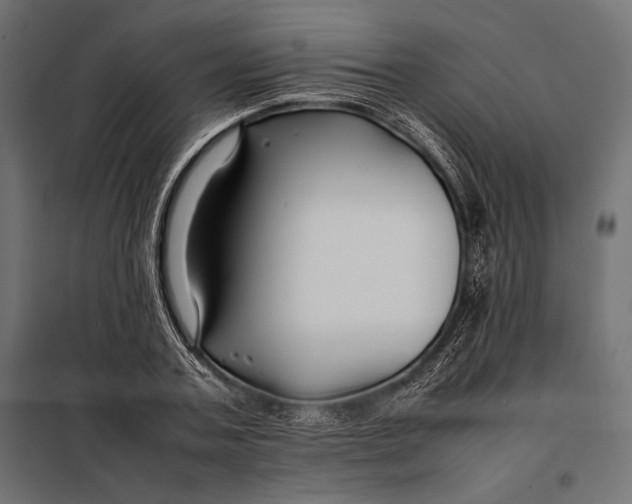 X0000098080787200804251512