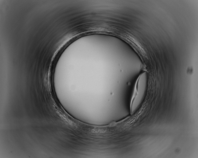 X0000098080788200804251512