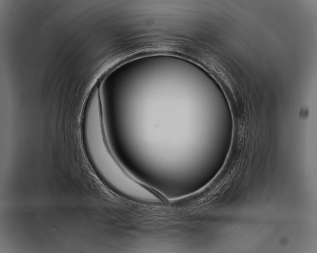 X0000098080789200804251512