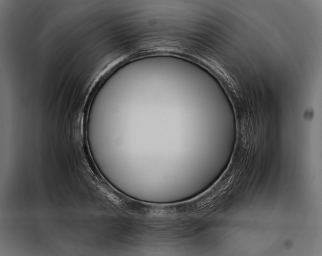 X0000098080790200804251512