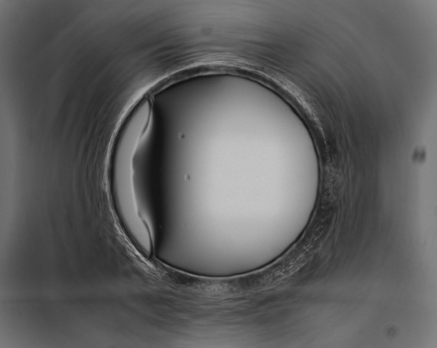 X0000098080791200804251512