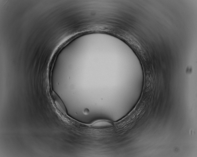 X0000098080792200804251512