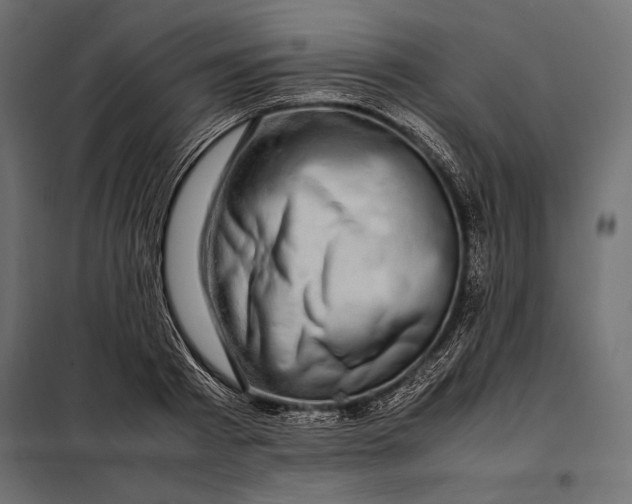 X0000098080793200804251512