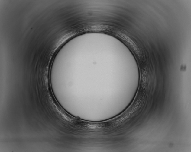 X0000098080794200804251512