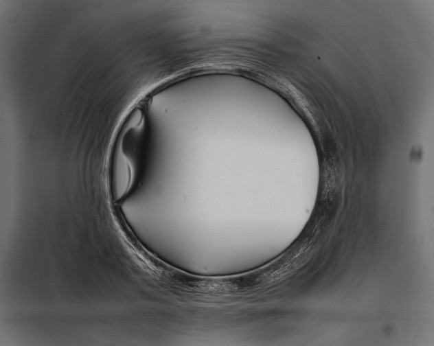 X0000098080795200804251512