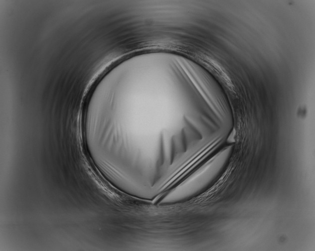 X0000098080796200804251512