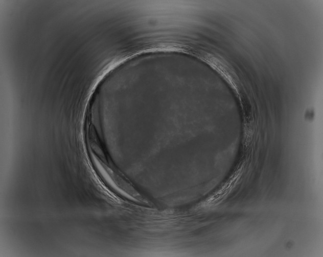 X0000098080797200804251512