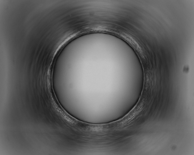 X0000098080798200804251512