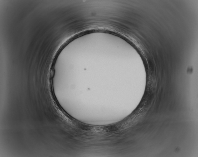 X0000098080799200804251512