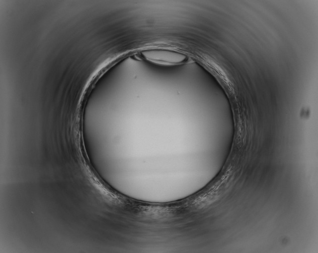 X0000098080800200804251512