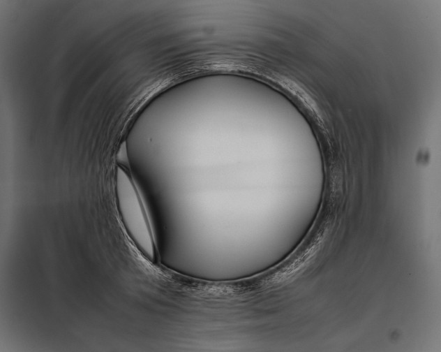 X0000098080801200804251512