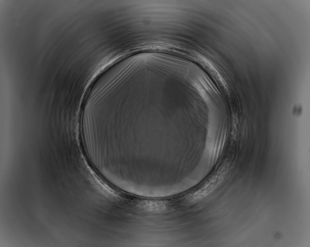 X0000098080802200804251512