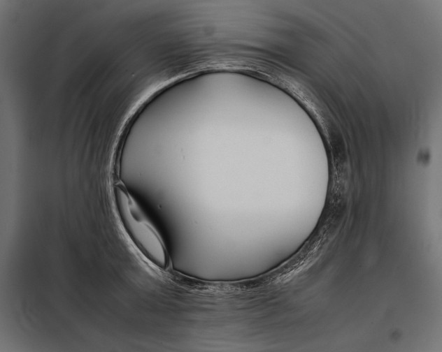 X0000098080803200804251512