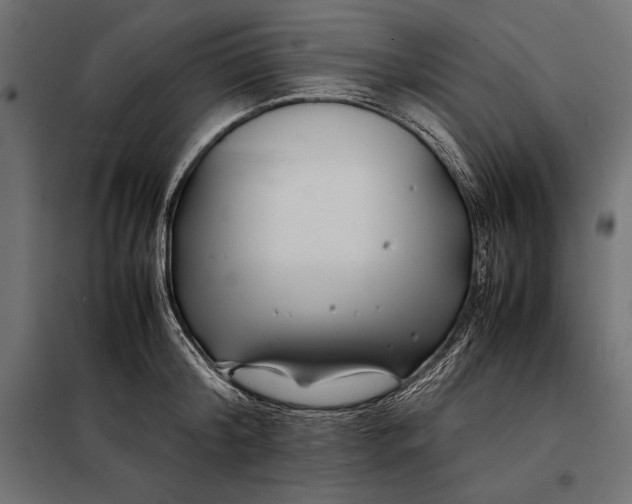 X0000098080804200804251512