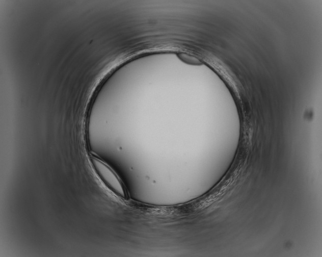 X0000098080805200804251512