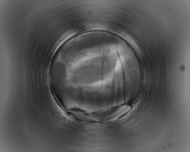 X0000098080806200804251512