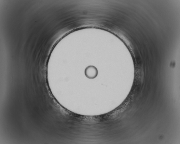 X0000098080807200804251512