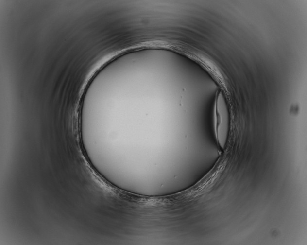 X0000098080808200804251512