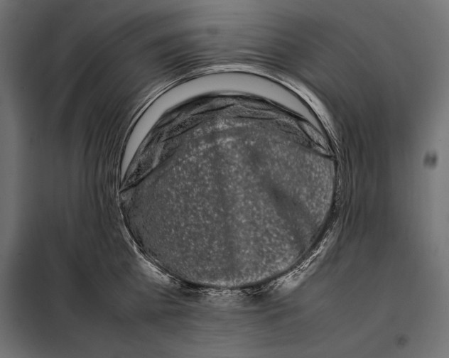 X0000098080809200804251512