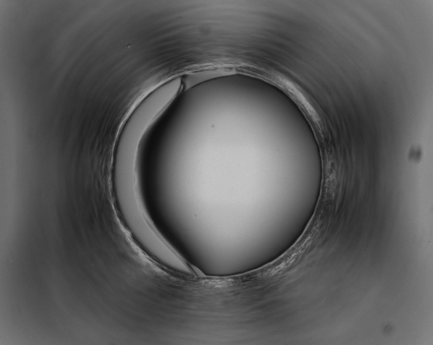 X0000098080810200804251512