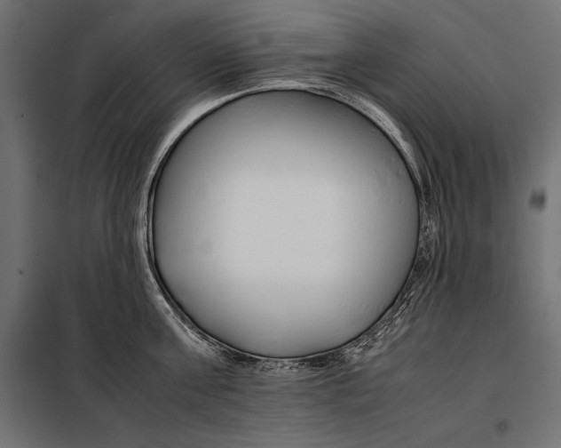 X0000098080811200804251512