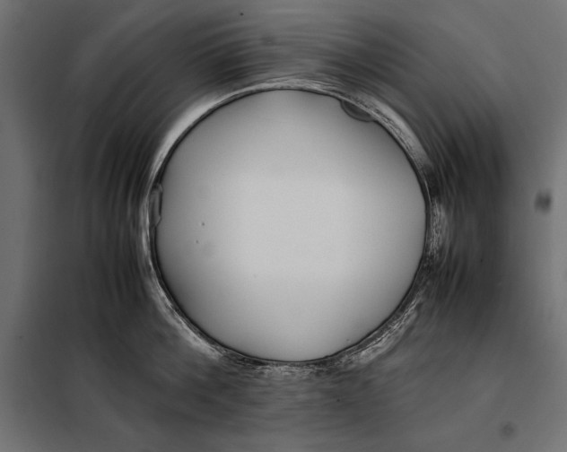 X0000098080812200804251512