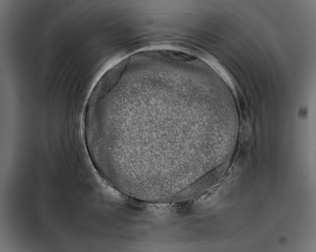 X0000098080813200804251512