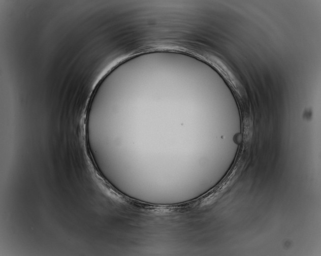 X0000098080814200804251512