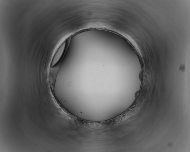 X0000098080815200804251512