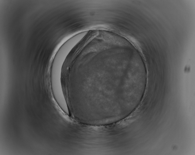 X0000098080816200804251512