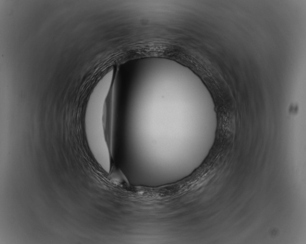 X0000098080818200804251511