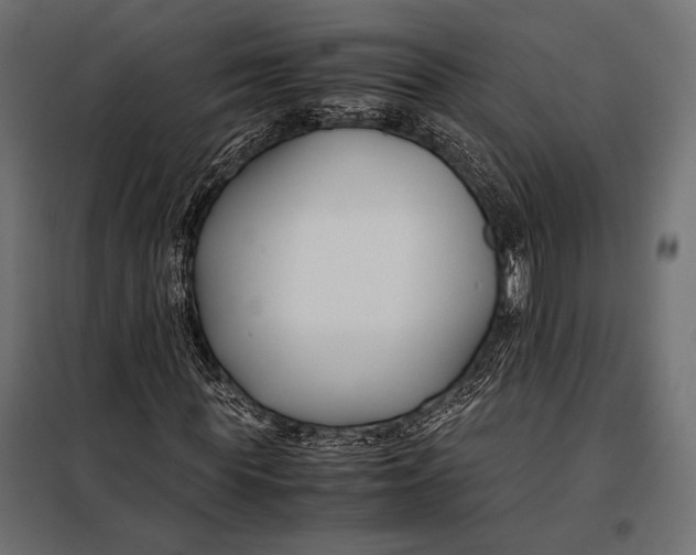 X0000098080819200804251511