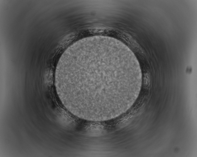 X0000098080820200804251511