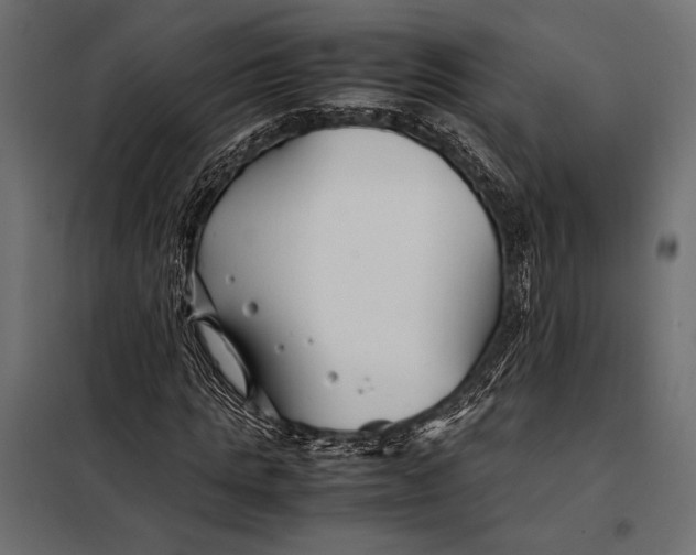 X0000098080821200804251511