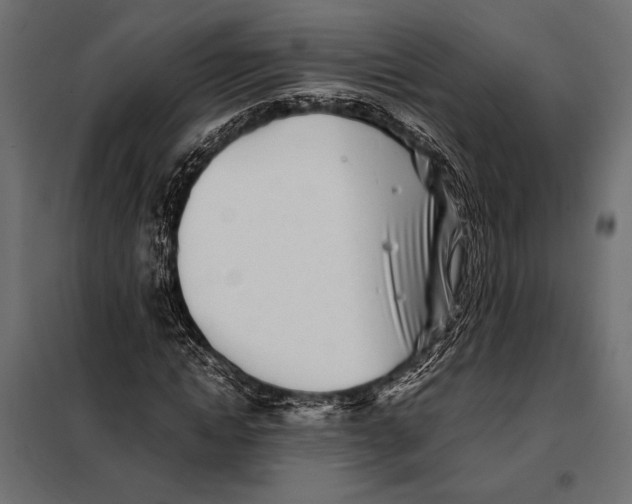 X0000098080822200804251511