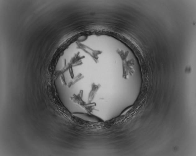 X0000098080823200804251511