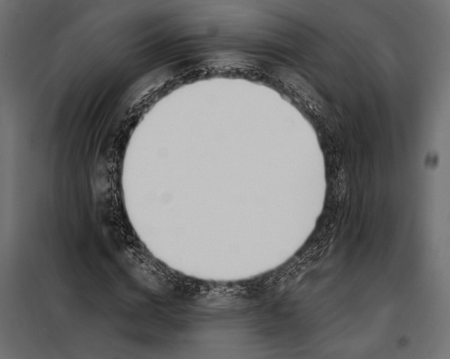 X0000098080824200804251511