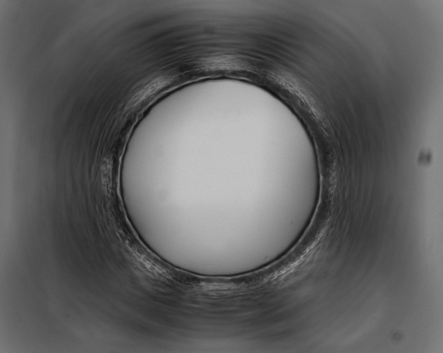 X0000098080825200804251511