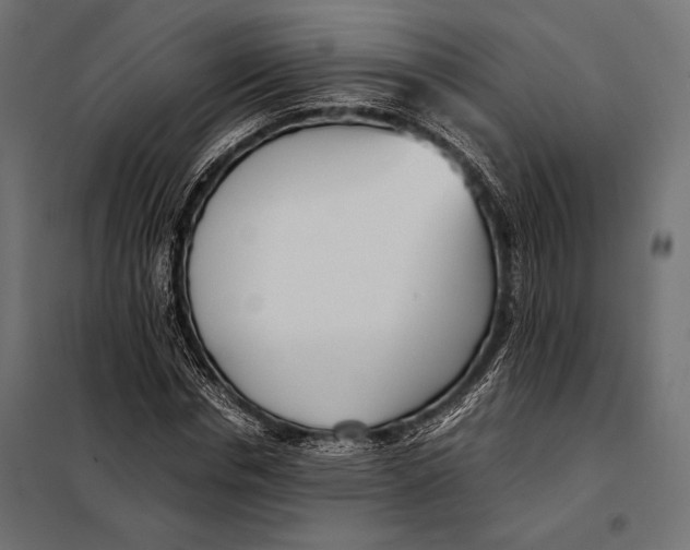 X0000098080826200804251511