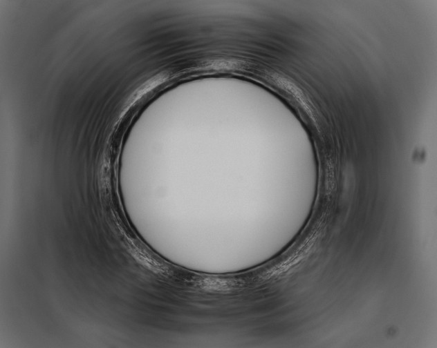 X0000098080827200804251511