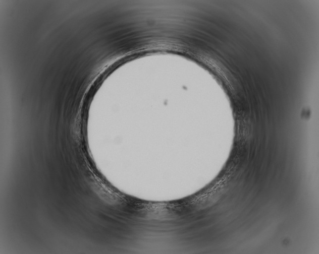 X0000098080828200804251511