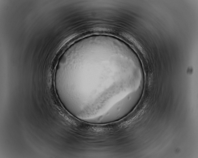 X0000098080829200804251511