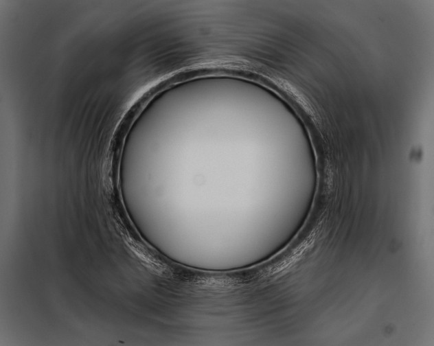 X0000098080830200804251511