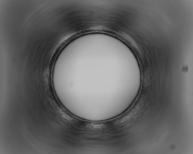 X0000098080831200804251511